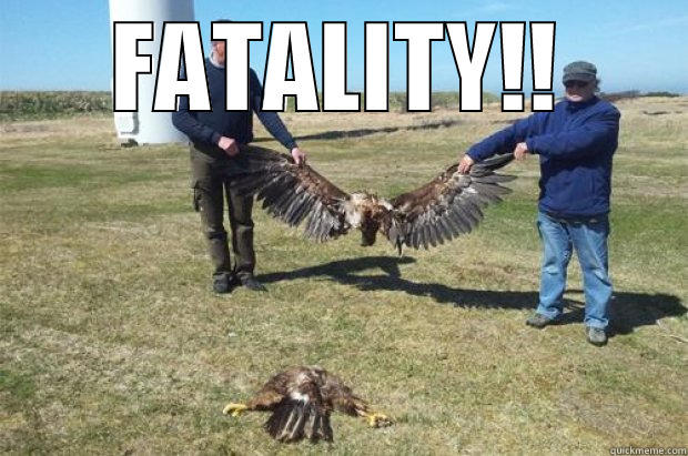 torn eagle - FATALITY!!  Misc