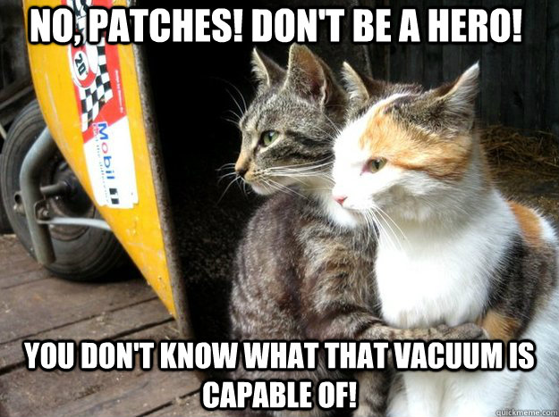 no, patches! don't be a hero! you don't know what that vacuum is capable of!  