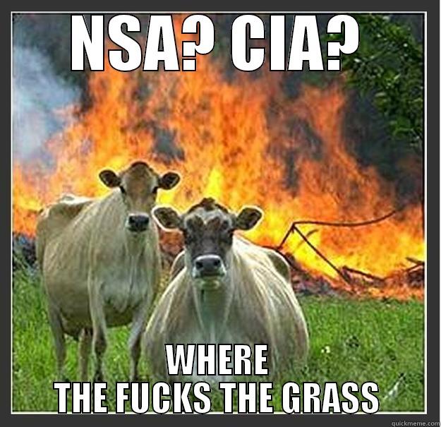 NSA? CIA?  - NSA? CIA? WHERE THE FUCKS THE GRASS Evil cows