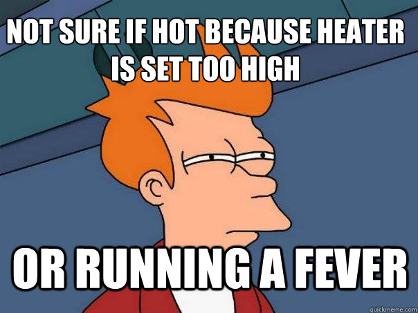 not sure if hot because heater is set too high or running a fever - not sure if hot because heater is set too high or running a fever  Futurama Fry