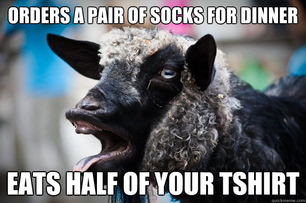 orders a pair of socks for dinner eats half of your tshirt - orders a pair of socks for dinner eats half of your tshirt  scumbag goat