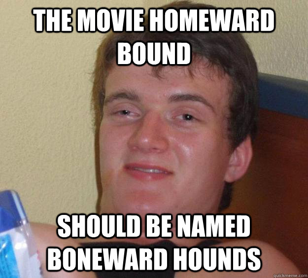 The movie Homeward Bound Should be named Boneward Hounds  10 Guy