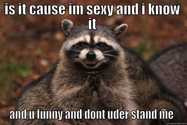 IS IT CAUSE IM SEXY AND I KNOW IT AND U FUNNY AND DONT UDER STAND ME  Evil Plotting Raccoon