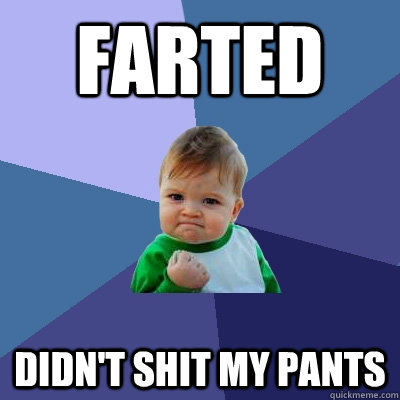 Farted didn't shit my pants  Success Kid