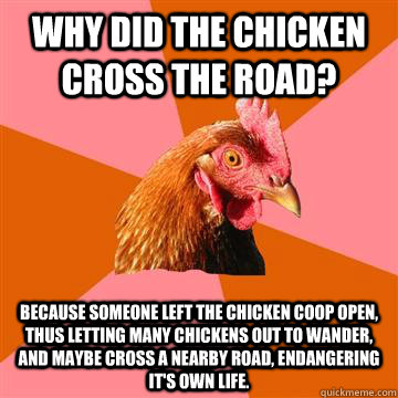 why did the chicken cross the road? because someone left the chicken coop open, thus letting many chickens out to wander, and maybe cross a nearby road, endangering it's own life. - why did the chicken cross the road? because someone left the chicken coop open, thus letting many chickens out to wander, and maybe cross a nearby road, endangering it's own life.  Anti-Joke Chicken