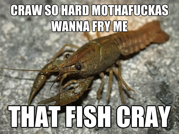 Craw so hard mothafuckas wanna fry me that fish cray  that fish cray