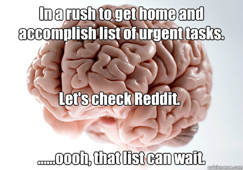 In a rush to get home and accomplish list of urgent tasks. ......oooh, that list can wait. Let's check Reddit. - In a rush to get home and accomplish list of urgent tasks. ......oooh, that list can wait. Let's check Reddit.  Scumbag Brain