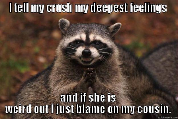 I TELL MY CRUSH MY DEEPEST FEELINGS AND IF SHE IS WEIRD OUT I JUST BLAME ON MY COUSIN. Evil Plotting Raccoon