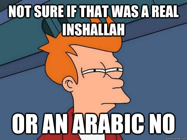 Not sure if that was a real inshallah or an arabic no  Futurama Fry