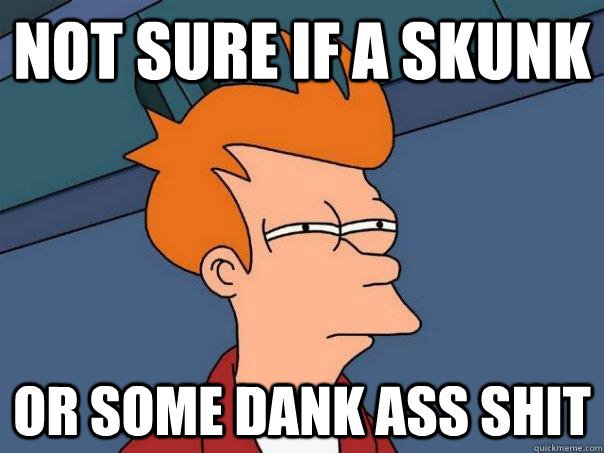 not sure if a skunk or some dank ass shit   Futurama Fry