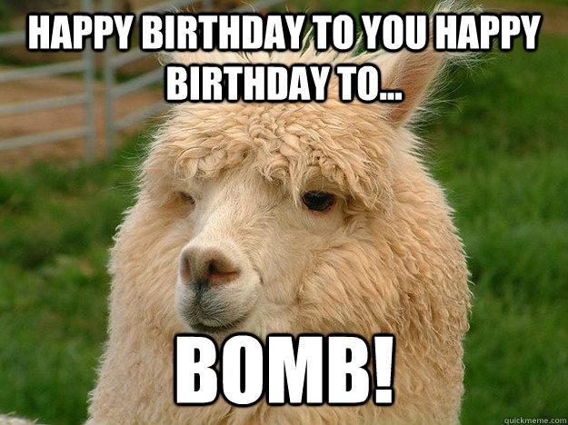 happy birthday to you happy birthday to... bomb! - happy birthday to you happy birthday to... bomb!  Terorist alpaca