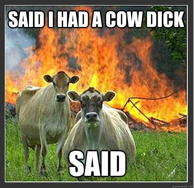 Said I had a cow dick SAID   Evil cows