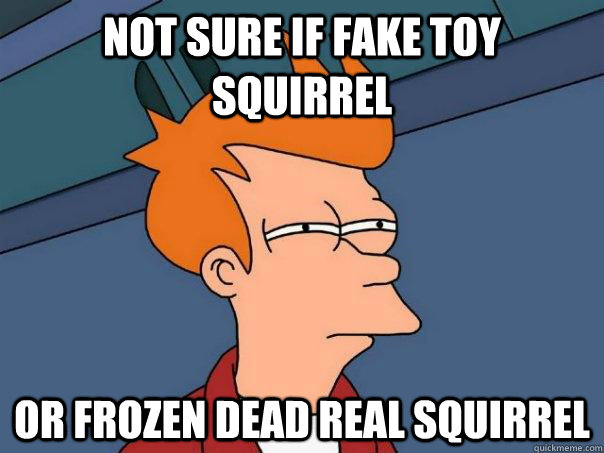 Not sure if fake toy squirrel Or frozen dead real squirrel  Futurama Fry