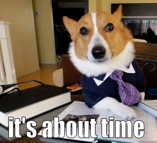  IT'S ABOUT TIME Lawyer Dog