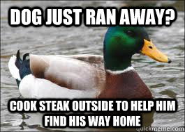 Dog just ran away? Cook steak outside to help him find his way home  Good Advice Duck