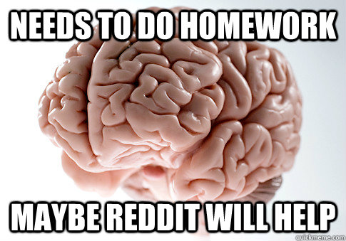 Needs to do homework Maybe reddit will help  Scumbag Brain