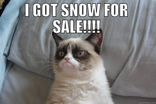 I GOT SNOW FOR SALE!!!!  Grumpy Cat