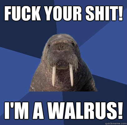 Fuck Your Shit! I'm a Walrus!  Web Developer Walrus