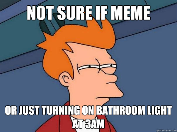 not sure if meme or just turning on bathroom light at 3am - not sure if meme or just turning on bathroom light at 3am  Futurama Fry