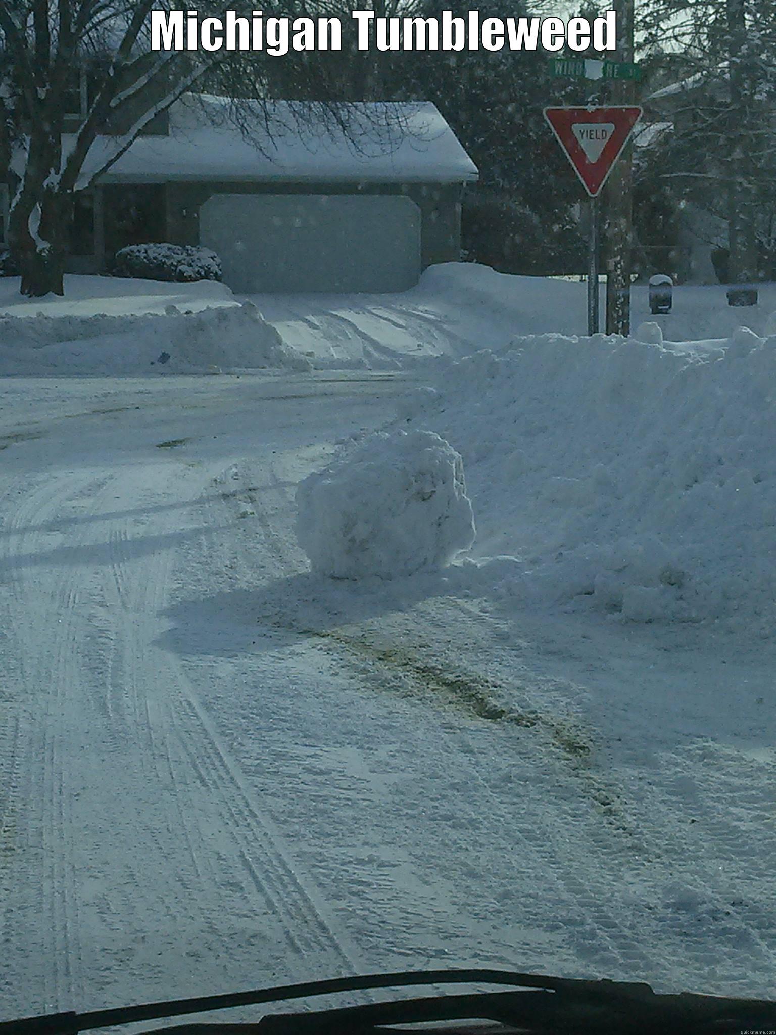 MICHIGAN TUMBLEWEED  Misc