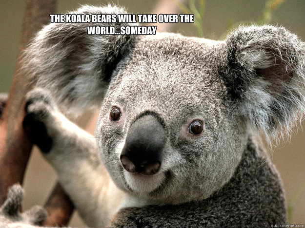 The koala bears will take over the world...someday  koala bears will take over the world