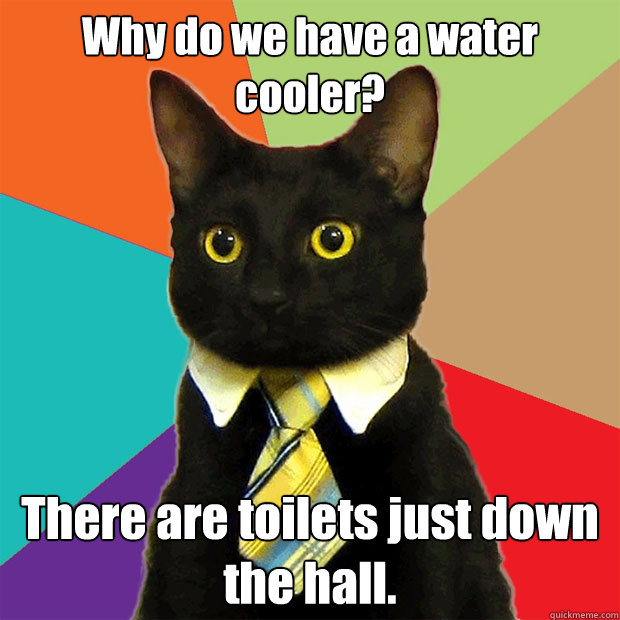 Why do we have a water cooler? There are toilets just down the hall.  Business Cat