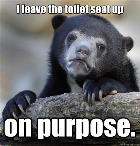 I leave the toilet seat up on purpose.  Confession Bear