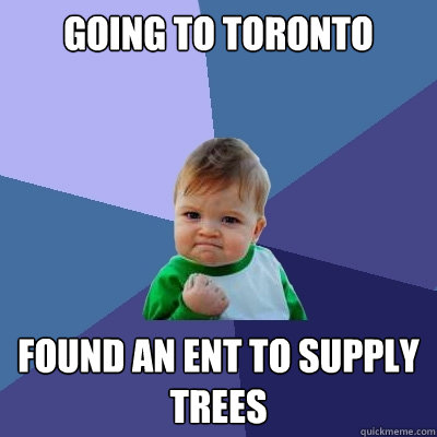 Going to Toronto Found an EnT TO SUPPLY TREES  Success Kid