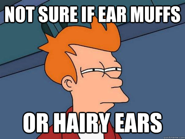 not sure if ear muffs or hairy ears   Futurama Fry