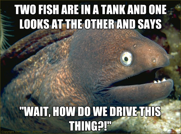 Two fish are in a tank and one looks at the other and says 