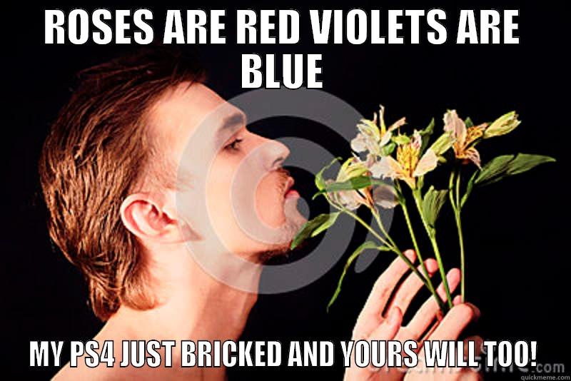 ROSES ARE RED VIOLETS ARE BLUE MY PS4 JUST BRICKED AND YOURS WILL TOO! Misc