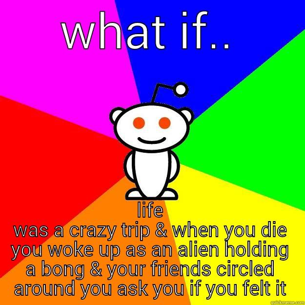 WHAT IF.. LIFE WAS A CRAZY TRIP & WHEN YOU DIE YOU WOKE UP AS AN ALIEN HOLDING A BONG & YOUR FRIENDS CIRCLED AROUND YOU ASK YOU IF YOU FELT IT Reddit Alien