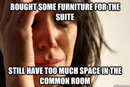 bought some furniture for the suite still have too much space in the common room  First World Problems