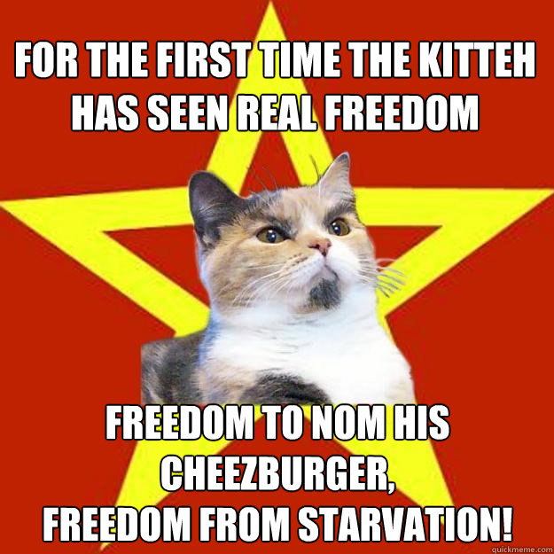 For the first time the kitteh has seen real freedom freedom to nom his cheezburger, 
freedom from starvation!  Lenin Cat