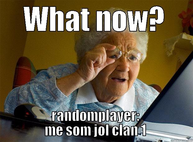 WHAT NOW? RANDOMPLAYER: ME SOM JOL CLAN 1 Grandma finds the Internet