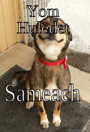 YOM HULEDET SAMEACH Good Dog Greg