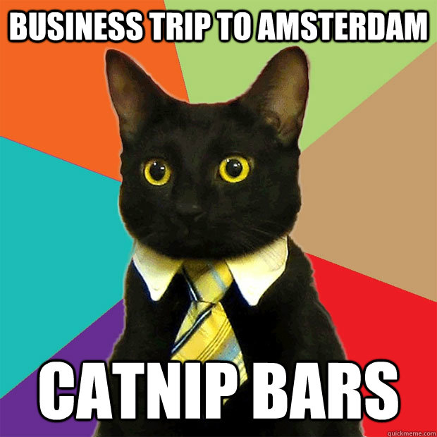 Business Trip to Amsterdam Catnip Bars  Business Cat