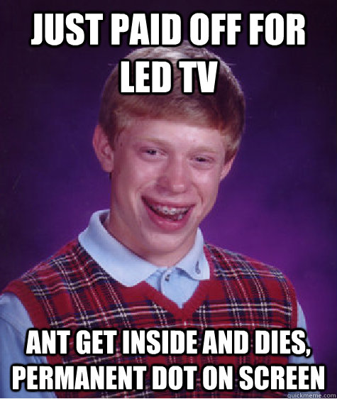 just paid off for LED tv ant get inside and dies, permanent dot on screen  Bad Luck Brian