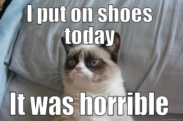 I PUT ON SHOES TODAY IT WAS HORRIBLE Grumpy Cat