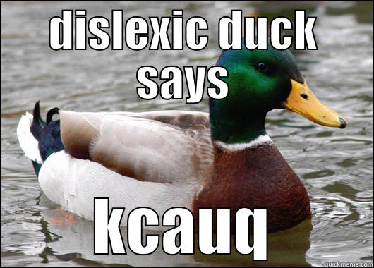 dislexic duck - DISLEXIC DUCK SAYS KCAUQ Actual Advice Mallard