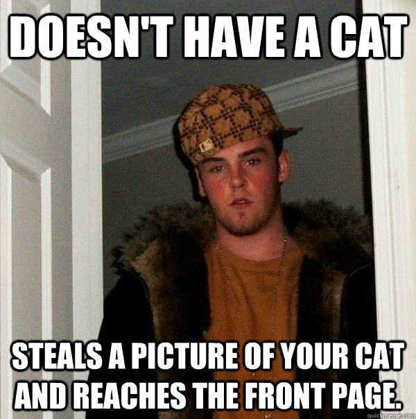 doesn't have a cat steals a picture of your cat and reaches the front page. - doesn't have a cat steals a picture of your cat and reaches the front page.  Scumbag Steve