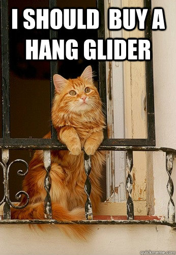 I should  buy a hang glider   Balcony Epiphany Cat