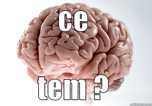 CE TEM ? Scumbag Brain