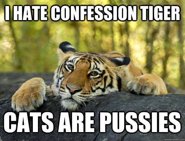 i hate confession tiger cats are pussies  Confession Tiger