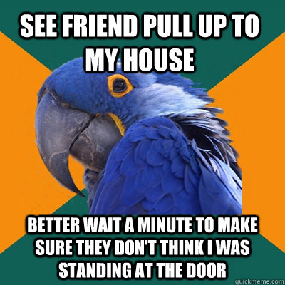 see friend pull up to my house better wait a minute to make sure they don't think i was standing at the door  Paranoid Parrot