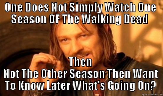 ONE DOES NOT SIMPLY WATCH ONE SEASON OF THE WALKING DEAD  THEN NOT THE OTHER SEASON THEN WANT TO KNOW LATER WHAT'S GOING ON? Boromir