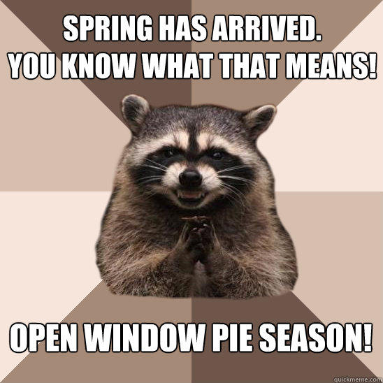 Spring has arrived.
You know what that means! Open Window Pie Season!  