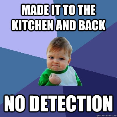 Made it to the kitchen and back No DETECTION  Success Kid