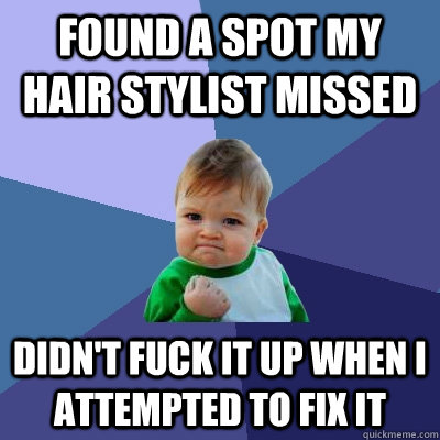 Found a spot my hair stylist missed Didn't fuck it up when I attempted to fix it  Success Kid