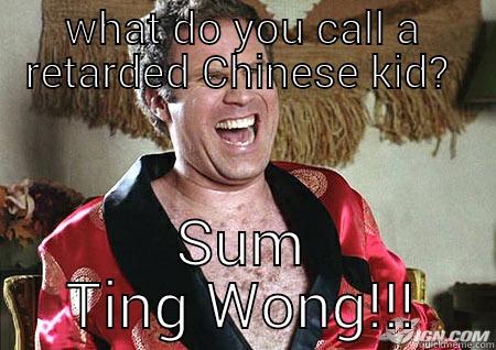 WHAT DO YOU CALL A RETARDED CHINESE KID?  SUM TING WONG!!! Misc